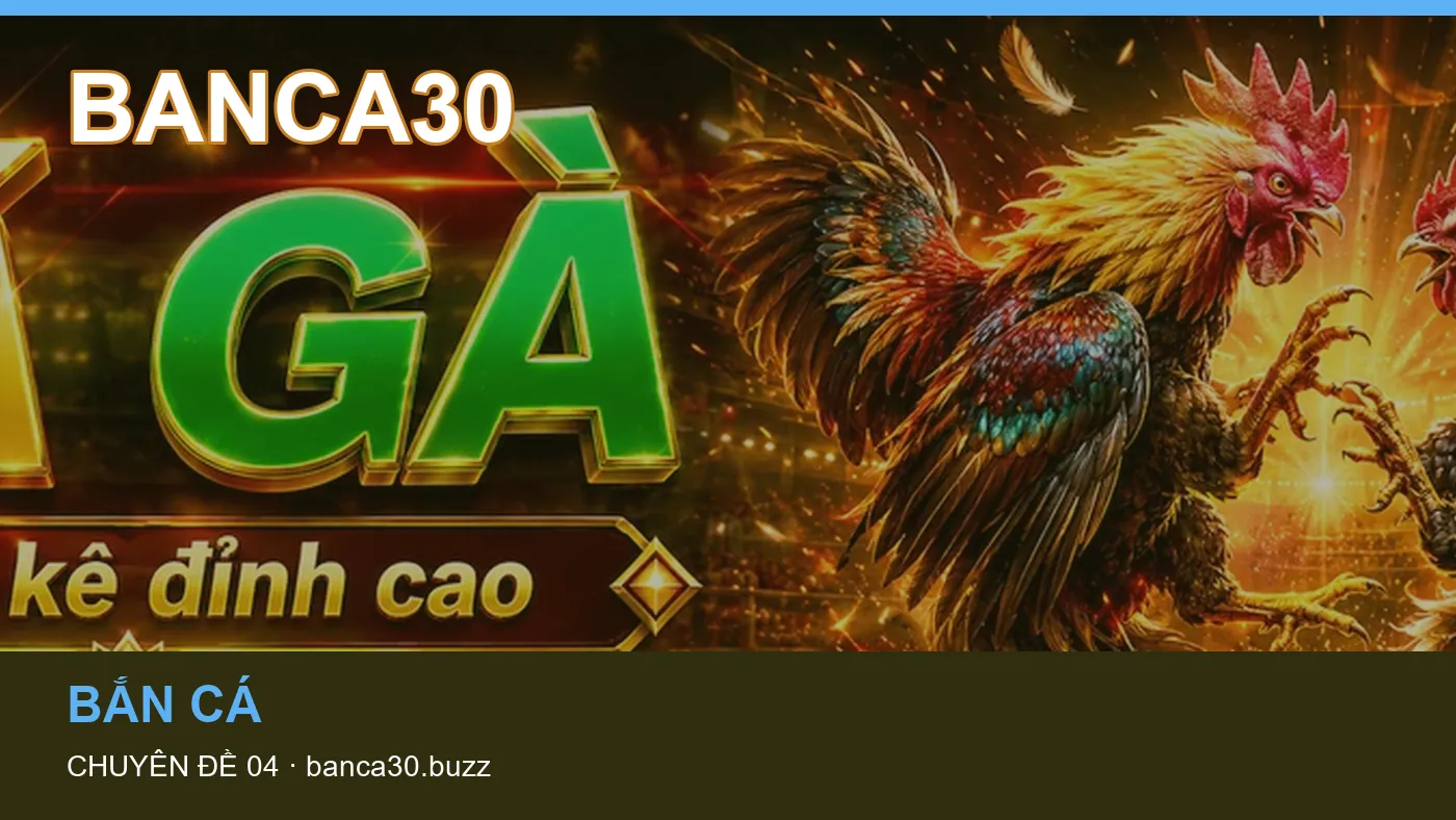 Trải nghiệm Game bài trên điện thoại cùng cẩm nang BANCA30