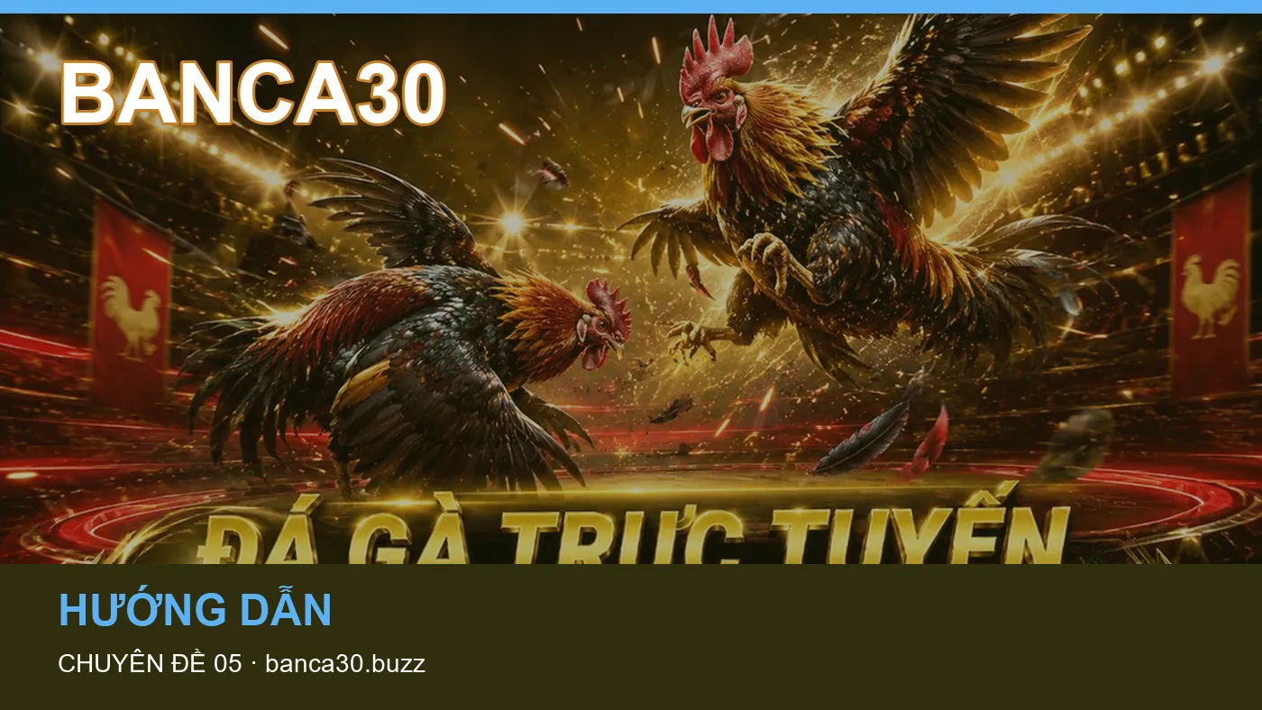 Những nhầm lẫn thường gặp khi đọc nội dung Slot trên BANCA30