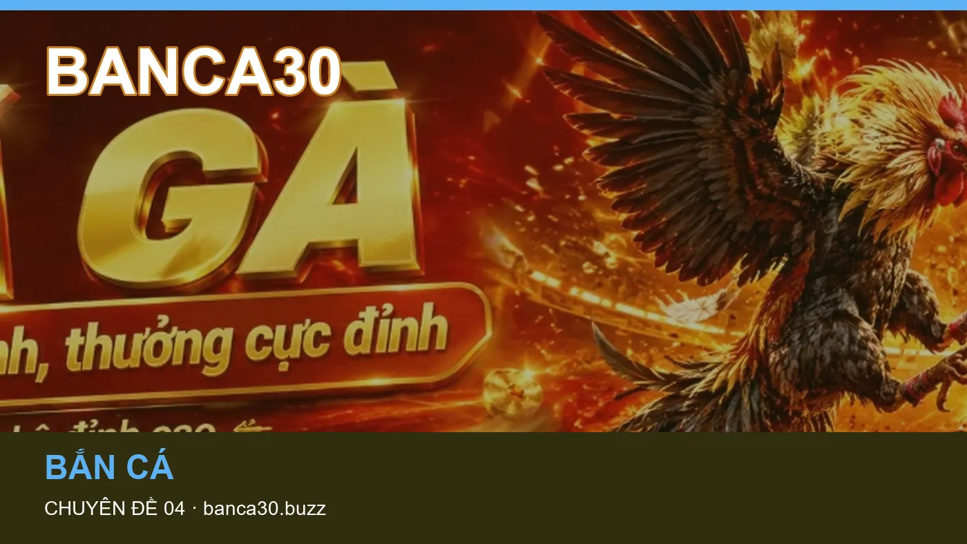 Hỏi đáp về Slot: quy trình tự kiểm tra trên BANCA30